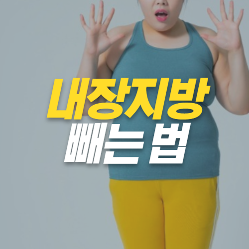  복부내장지방 빼는법