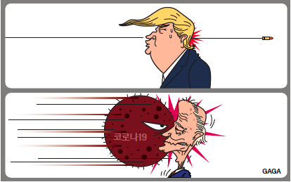 48608.jpg