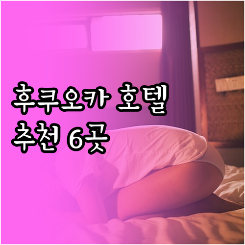 후쿠오카 호텔 추천 6곳 비교분석 어