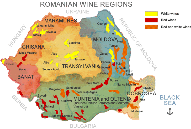 루마니아 와인 생산지 지도