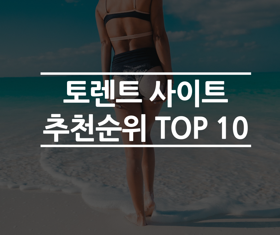  [링크] 토렌트 사이트 추천순위 TOP 10 (2021년)