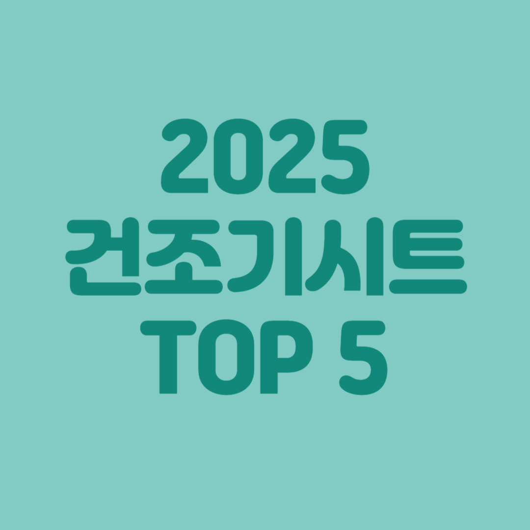 2025 건조기시트 TOP5