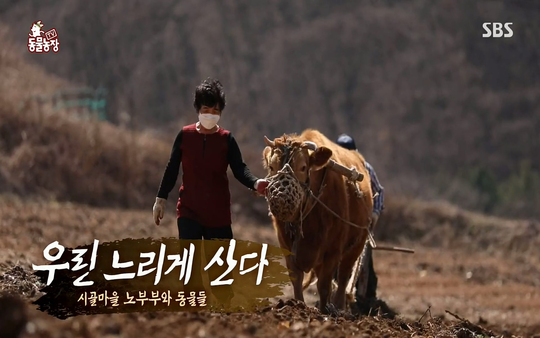 TV 동물농장.E1067.220501p.H264-F1RST.mp4_20220501_183401.167.jpg