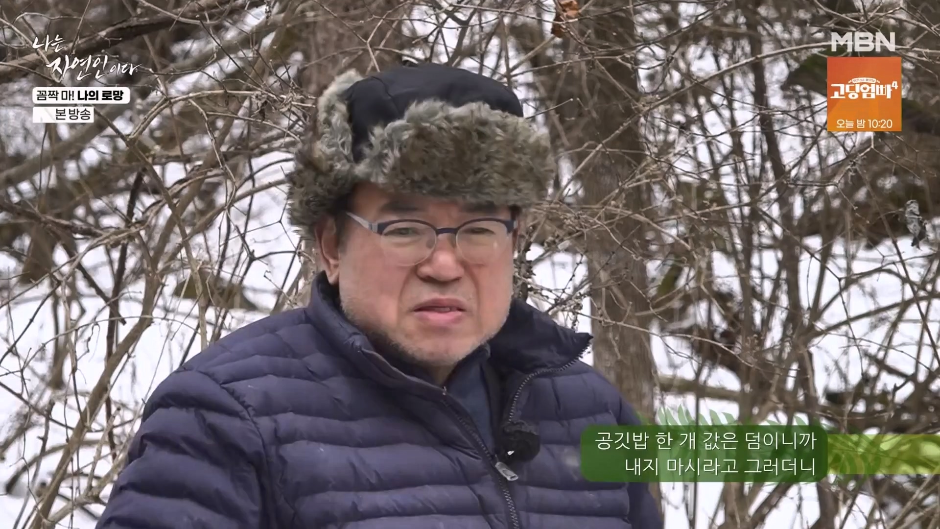 나는 자연인이다.E598.240320p-NEXT.mp4_20240321_202633.066.jpg