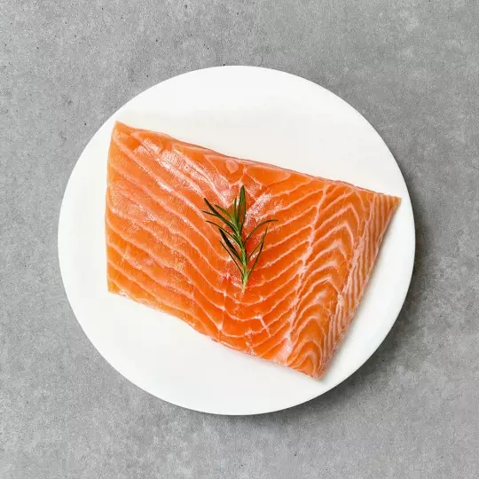 연어(Salmon)