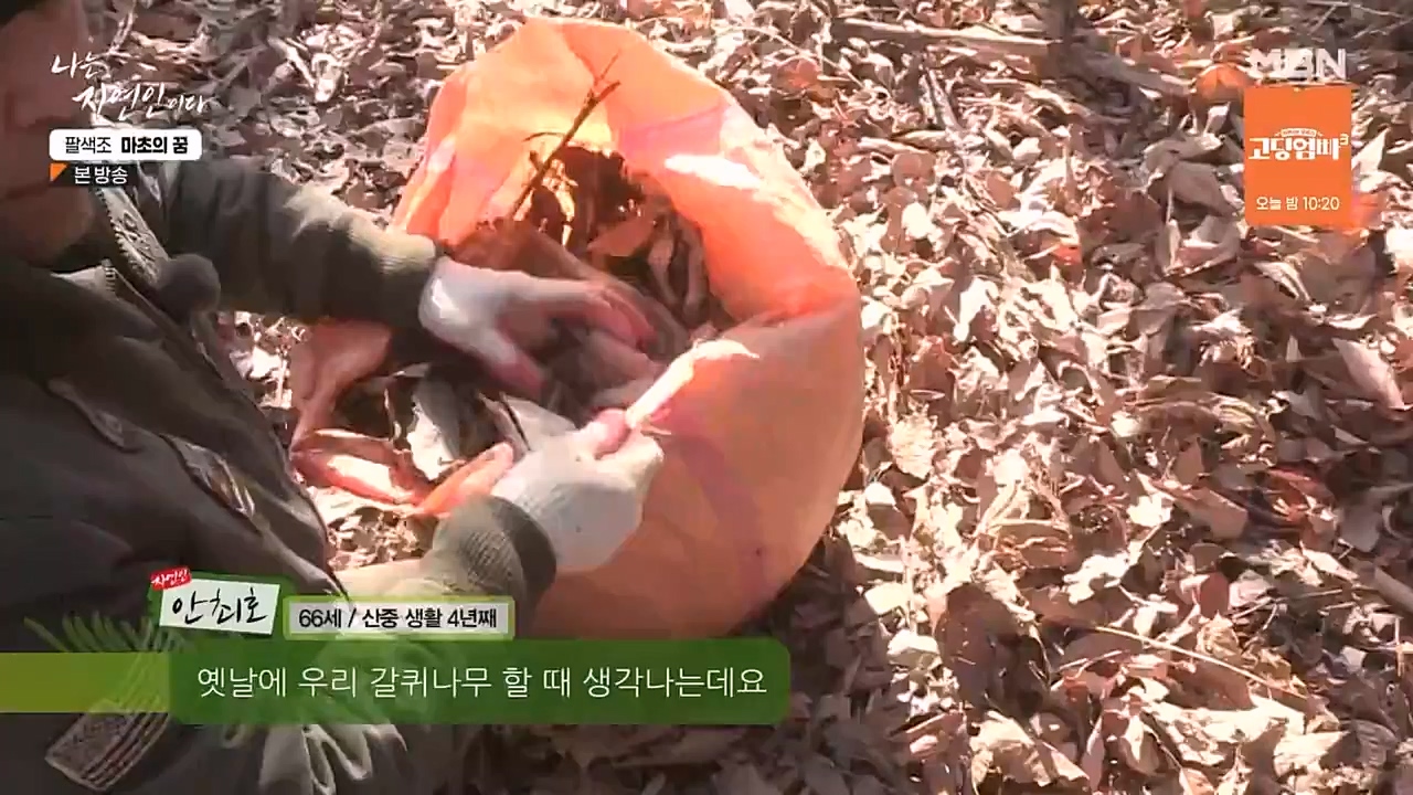 나는 자연인이다.E544.230309p-NEXT.mp4_20230309_191743.166.jpg