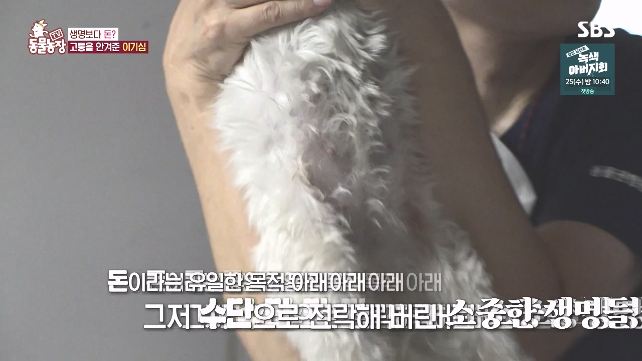 TV 동물농장.E1142.231023p-NEXT.mp4_20231022_174019.096.jpg