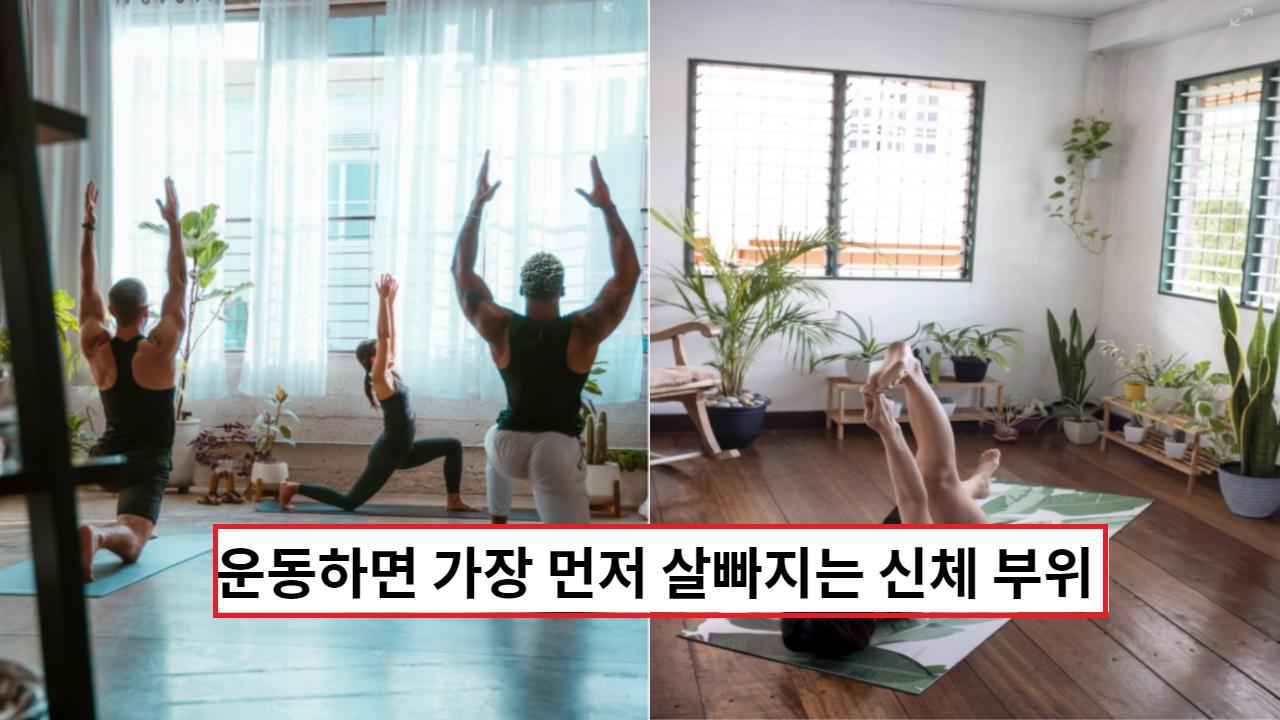  다이어트 할때 알아두면 좋아요 신체부위별 살빠지는 순서는?