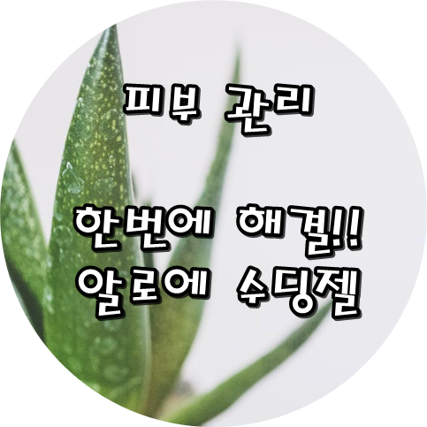  알로에수딩젤 사용법과 효과를 알면 , 민감한 피부관리 해결!!