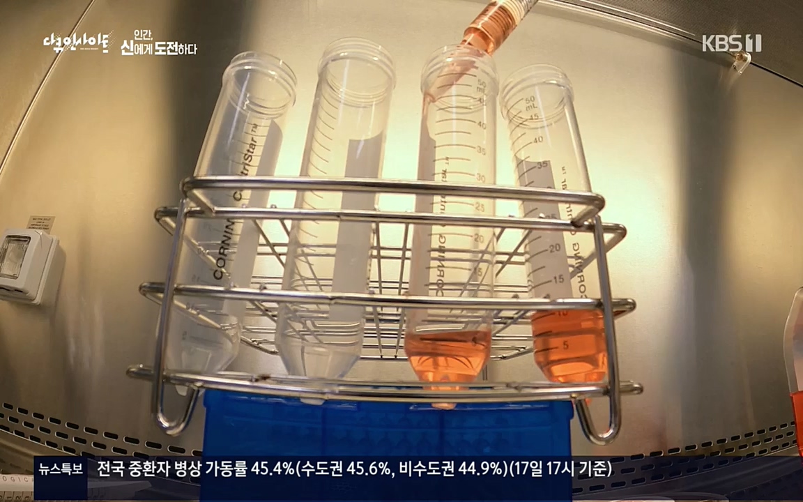 다큐 인사이트.E121.220819p.H264-F1RST.mp4_20220822_180816.566.jpg