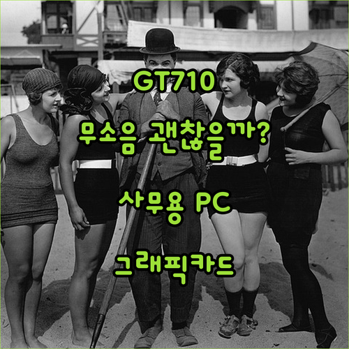 사무용 PC 그래픽카드 GT710 무