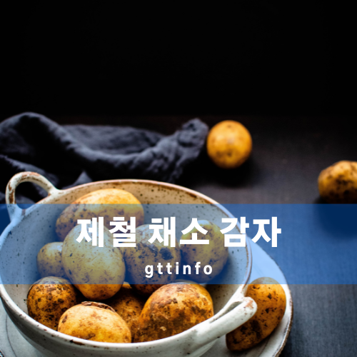 감자의 효능