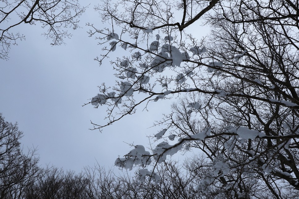 눈쌓인 겨울산 이미지 40
