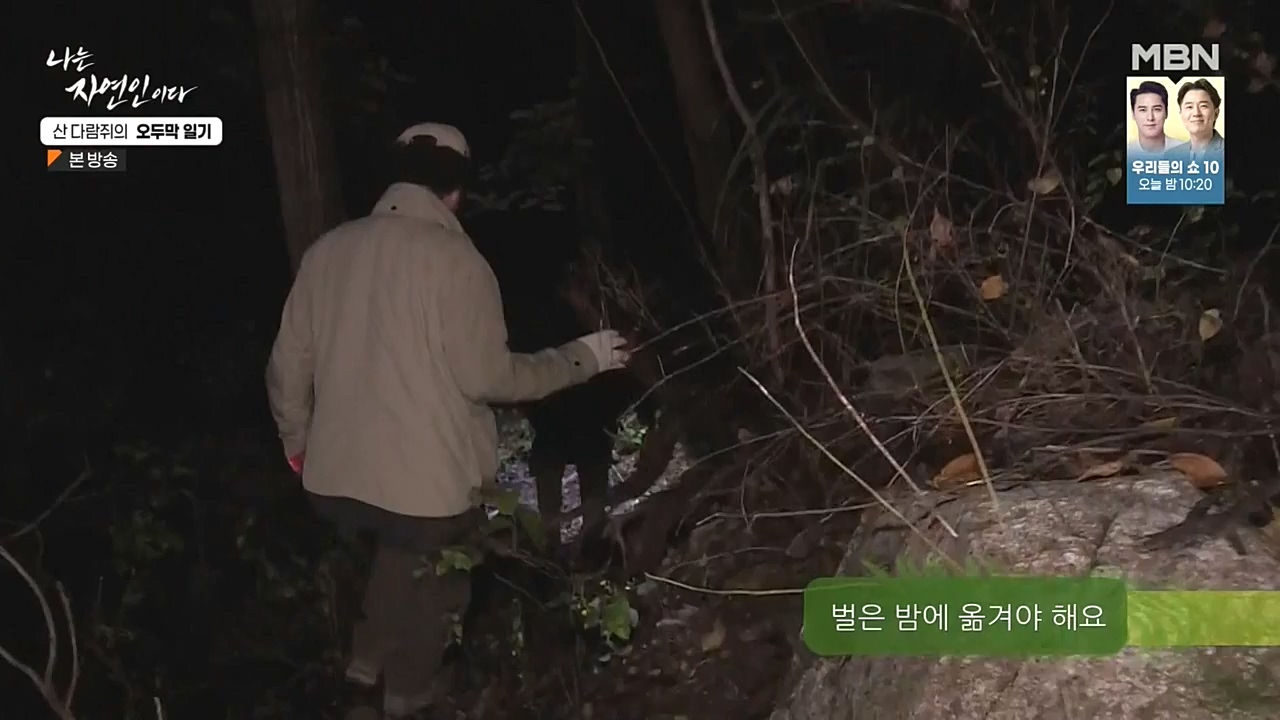 나는 자연인이다.E525.221027p-NEXT.mp4_20221027_192754.687.jpg