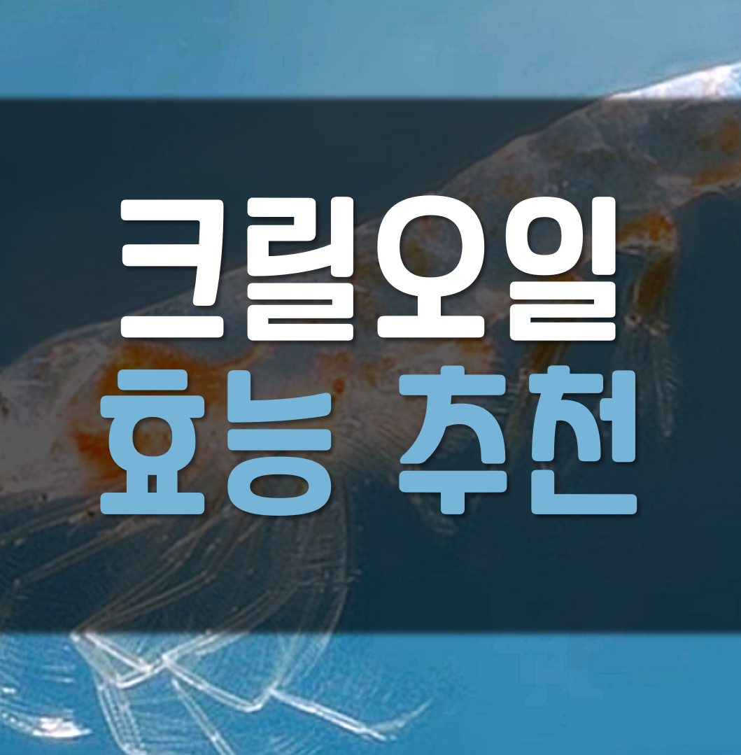  크릴오일 효능 추천