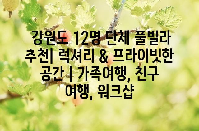 랜덤123