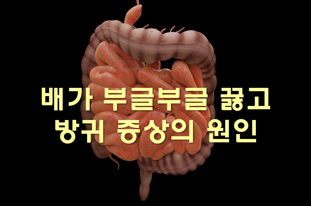  배가 아프고 설사를 해요~배가 부글부글 끓고 방귀 증상 원인