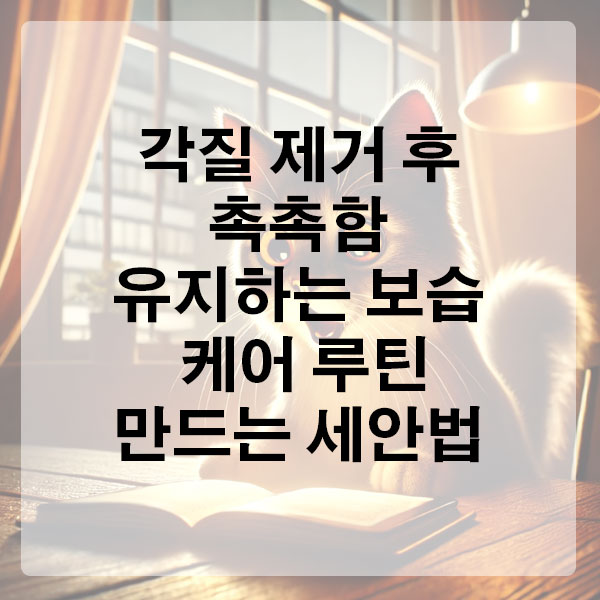 각질 제거 후 촉촉함 유지하는 보습 케어 루틴 만드는 세안법