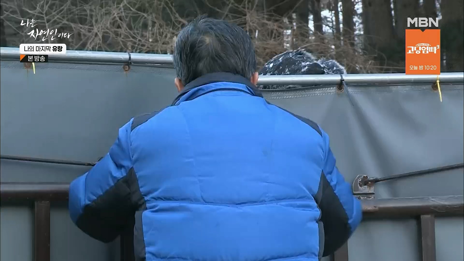 나는 자연인이다.E541.230215p.H264-F1RST.mp4_20230216_192704.909.jpg