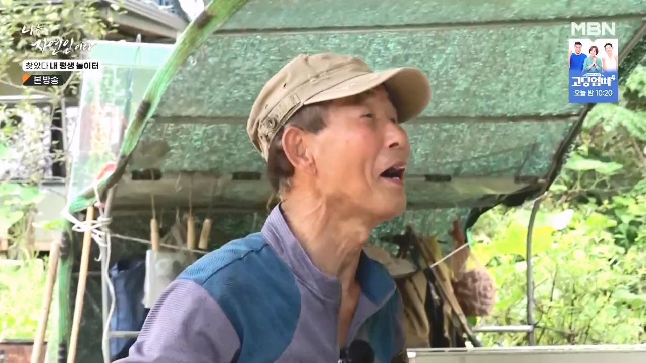 나는 자연인이다.E569.230831p-NEXT.mp4_20230831_201809.690.jpg