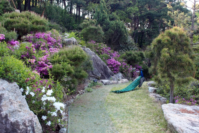 주말 가볼만한곳 베스트10 대구여행 가볼만한곳 팔공산 3