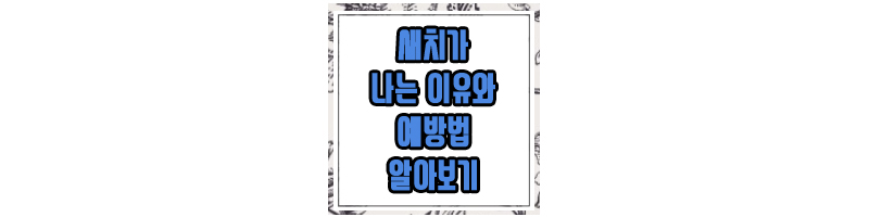 새치에 관한 글 썸네일