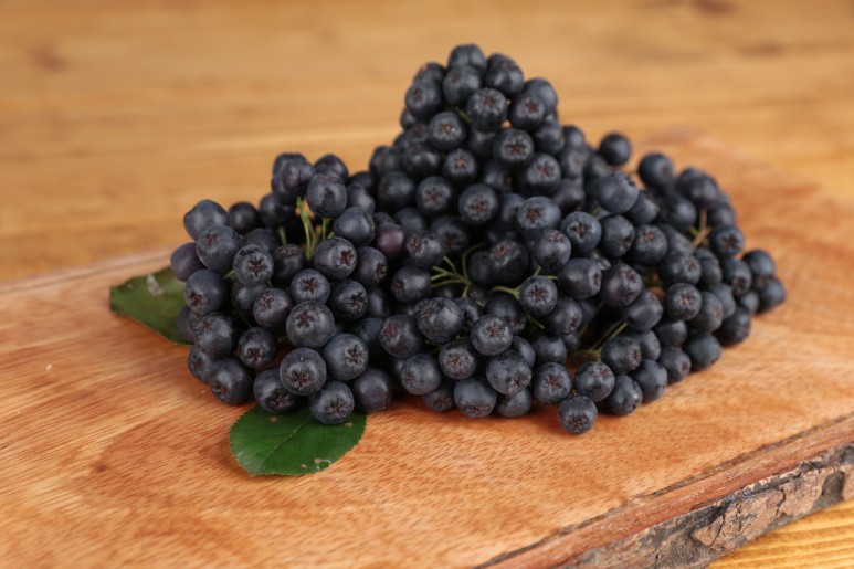 효능소개 아로니아 4