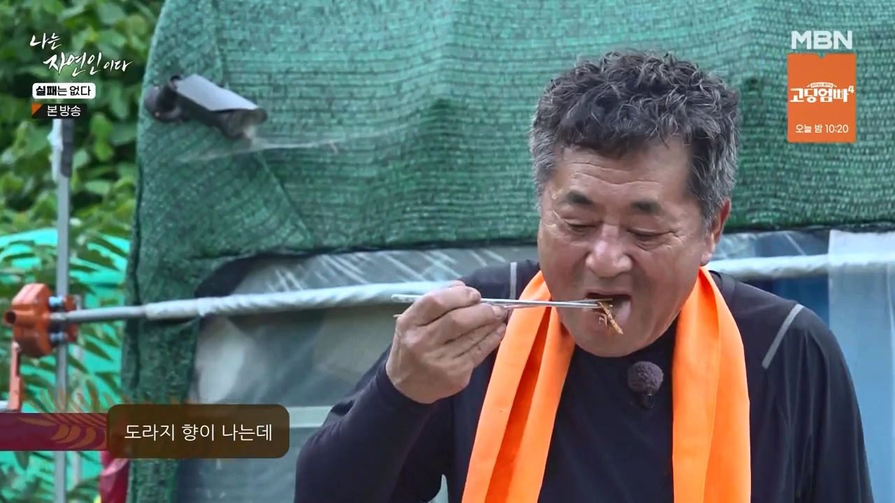 나는 자연인이다.E567.230817p-NEXT.mp4_20230817_202923.286.jpg