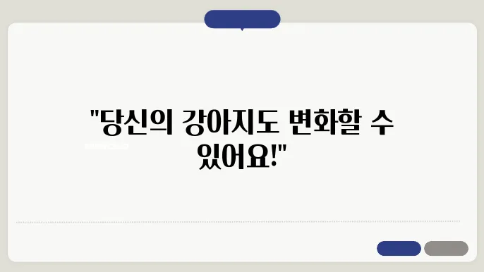강아지 훈련 방법, 다양한 상황에서의 적용 후기