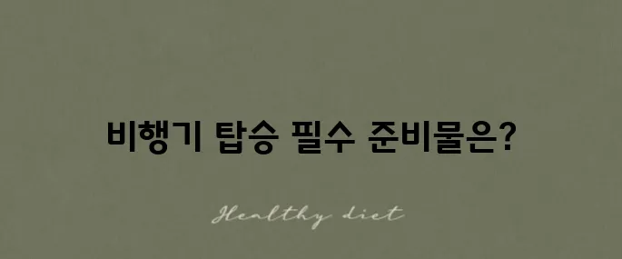 국내선 비행기 탑승 시 여권과 신분증 준비는 필수입니다!