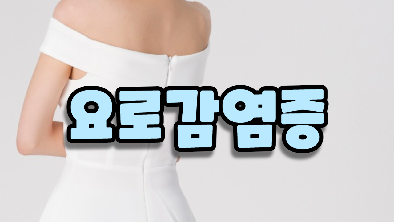  요로 감염증