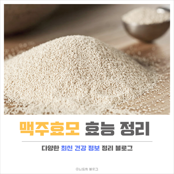  맥주효모 효능 정리