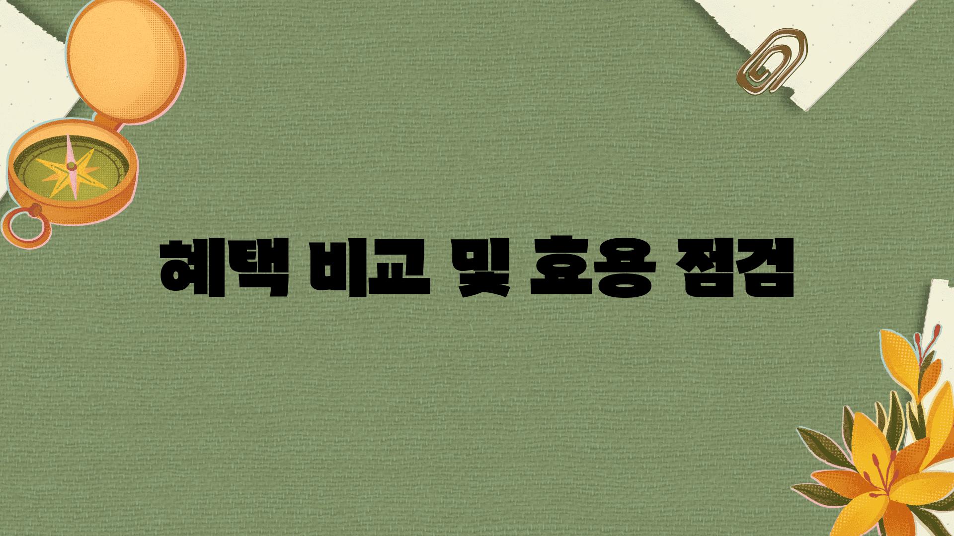 혜택 비교 및 효용 점검