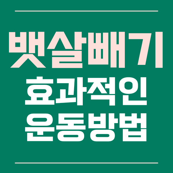  효과적인 뱃살 빠지는 운동 방법들을 알아봅시다.