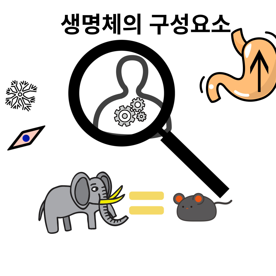  중2 과학-동물과 에너지-동물의 구성요소