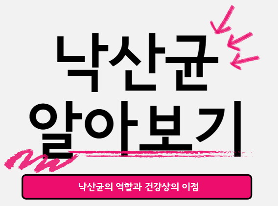  낙산균 : 건강한 장을 지켜주는 열쇠