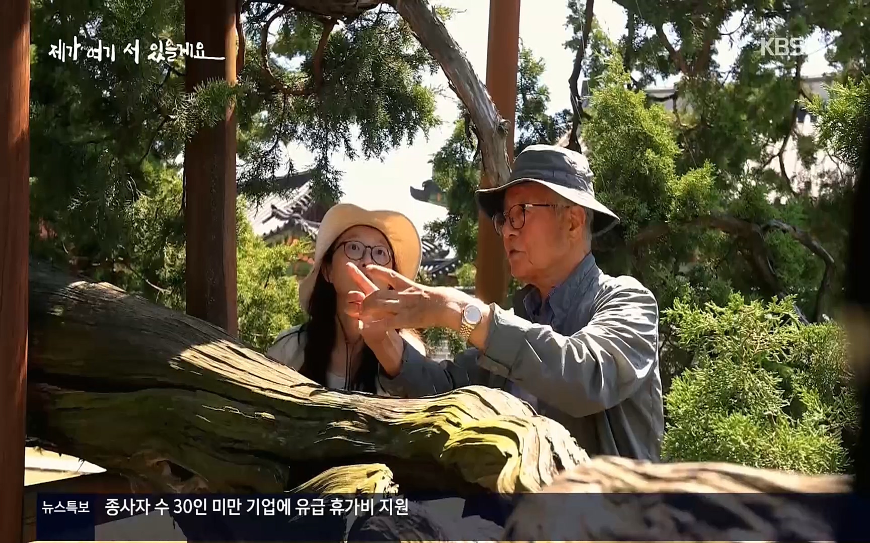 다큐 인사이트.E124.220908p.H264-F1RST.mp4_20220912_143734.140.jpg