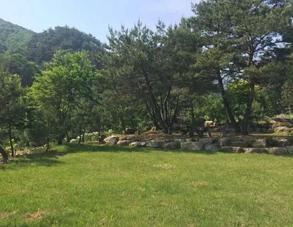덕동하늘숲펜션