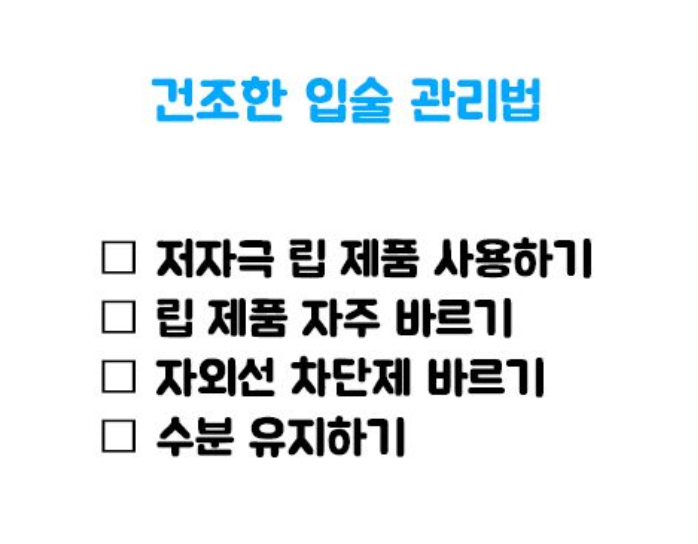  입술 관리 방법