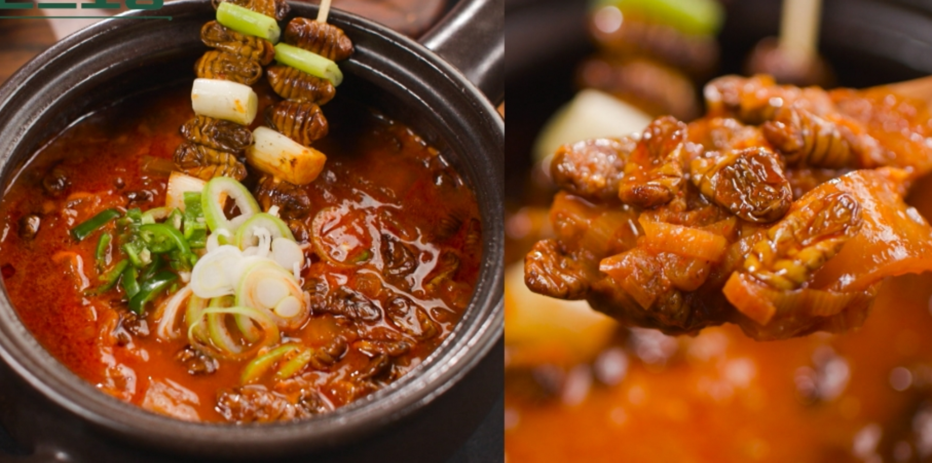  편스토랑 불번데기탕 이찬원 레시피 류수영 갈비치킨소스 박수홍 보말닭곰탕 땡초무장 탐라오겹덮밥 젓갈양념장 만드는법 163회 0210방송