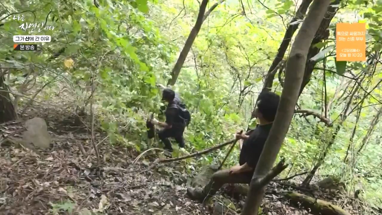 나는 자연인이다.E575.231012p-NEXT.mp4_20231012_201004.343.jpg