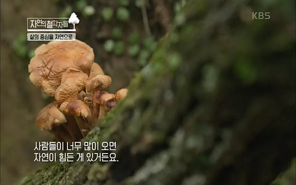[4회] 자연의 철학자들 - KBS행복하냐고 묻는다면] 흙과 돌, 숲과의 눈맞춤 그리고 물속에서의 숨소리까지 오롯이 김창옥.ts_20220329_191156.103.jpg
