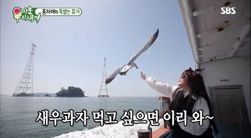  미우새 사승봉도 홍진영 홍선영 힐링여행
