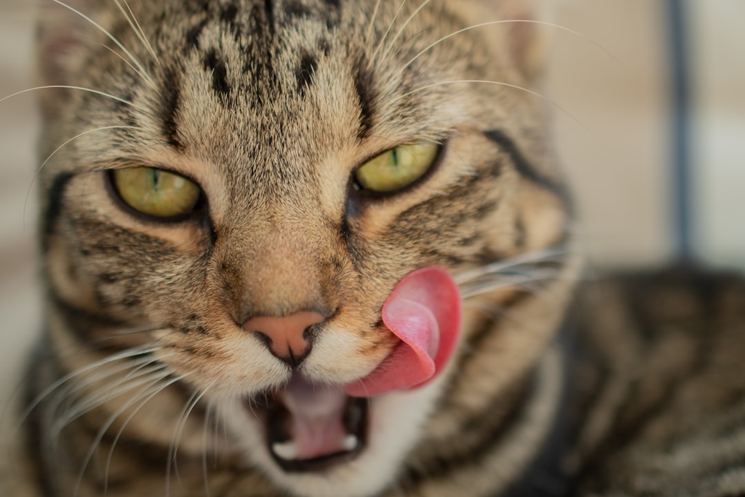 Tongue