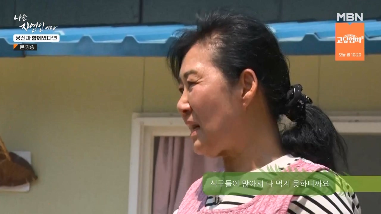 나는 자연인이다.E556.230532p-NEXT.mp4_20230601_201501.471.jpg