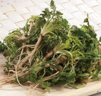 3월 제철 식재료 고추냉이 된장국