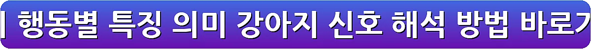 강아지 행동별 특징 의미 강아지 신호 해석 방법_14