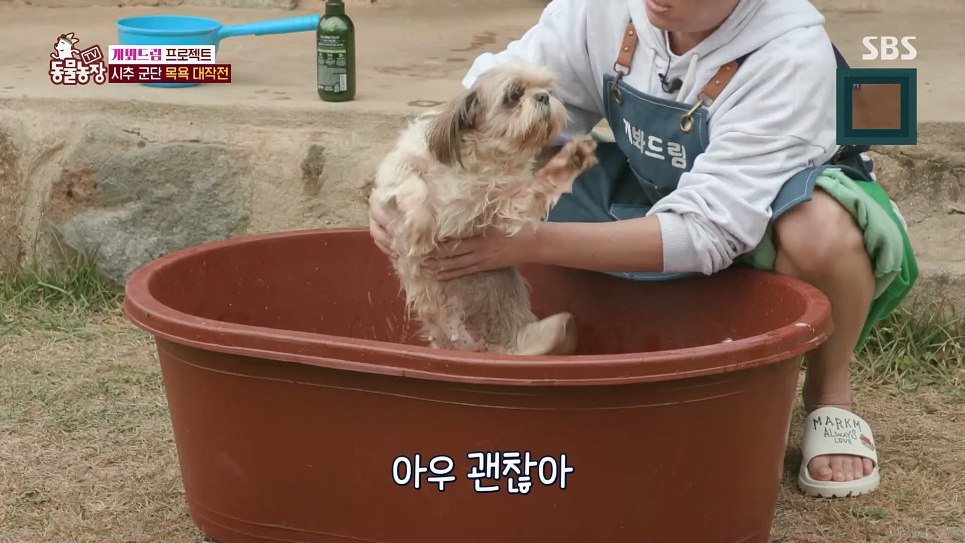 TV 동물농장.E1103.230108p.H264-F1RST.mp4_20230108_174647.975.jpg