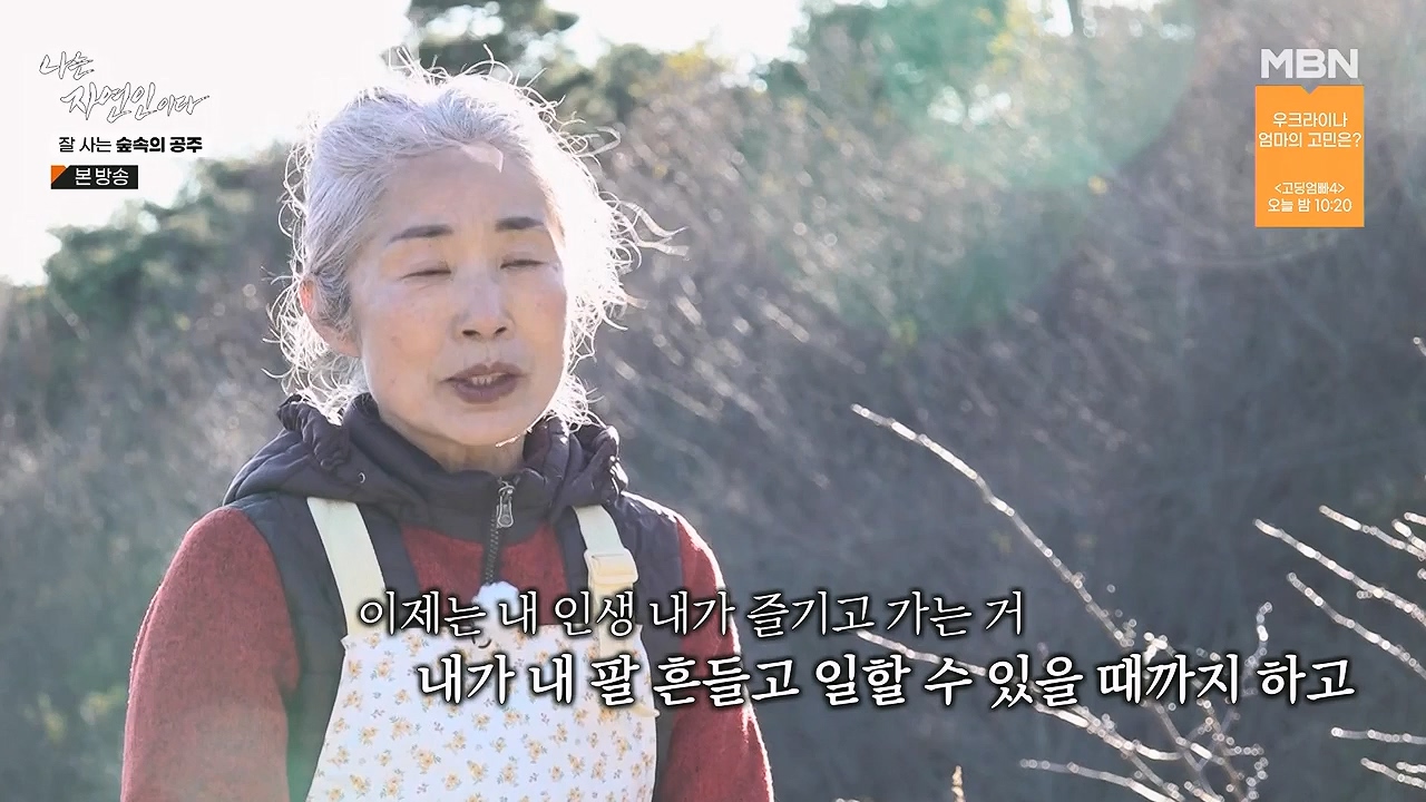 나는 자연인이다.E582.231130p-NEXT.mp4_20231130_200818.650.jpg