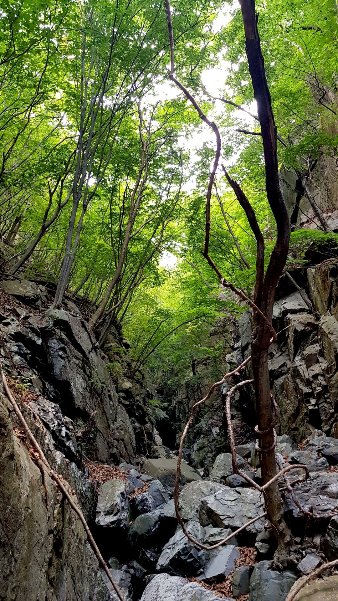 울산 고헌산